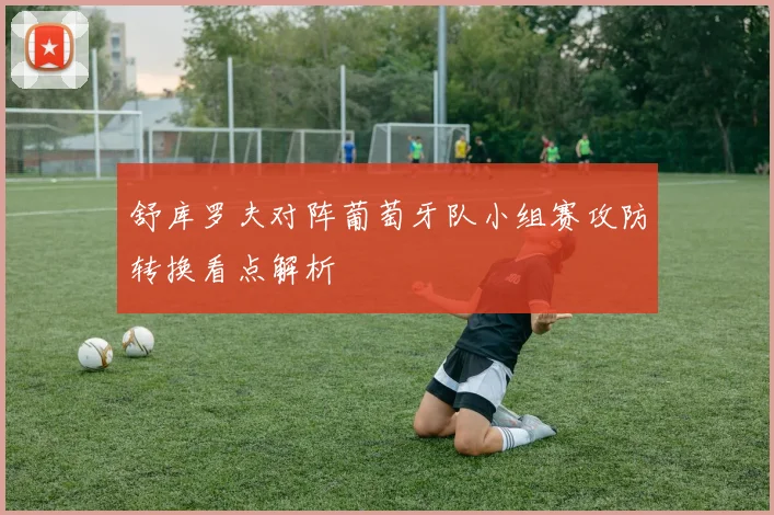 舒库罗夫对阵葡萄牙队小组赛攻防转换看点解析