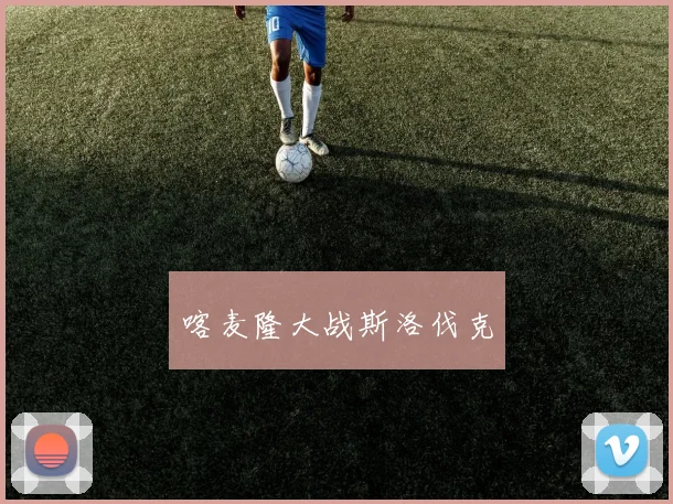 喀麦隆大战斯洛伐克