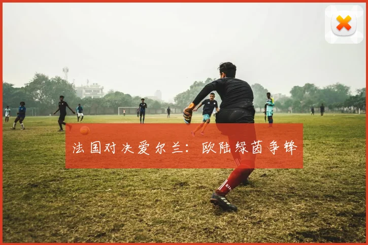 法国对决爱尔兰：欧陆绿茵争锋