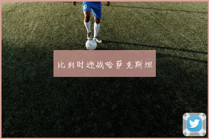 比利时迎战哈萨克斯坦