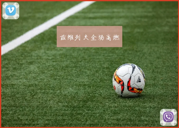 兹维列夫全场高燃