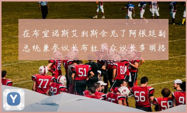 在布宜诺斯艾利斯会见了阿根廷副总统兼参议长布杜和众议长多明格斯