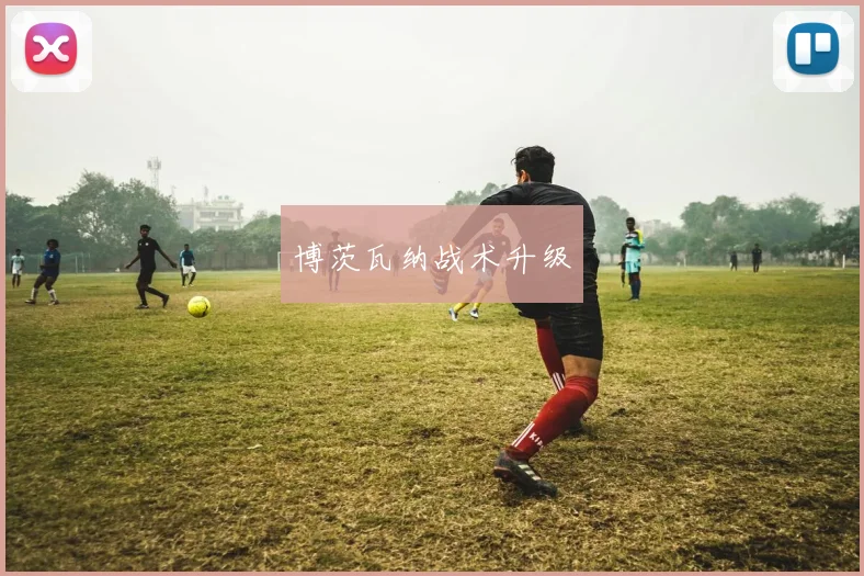 博茨瓦纳战术升级