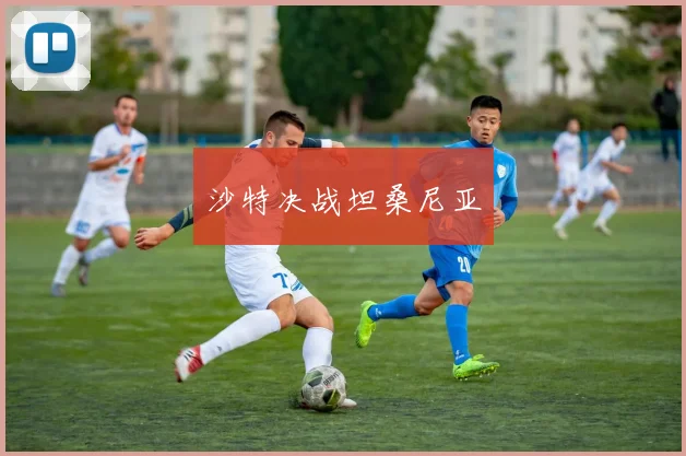 沙特决战坦桑尼亚