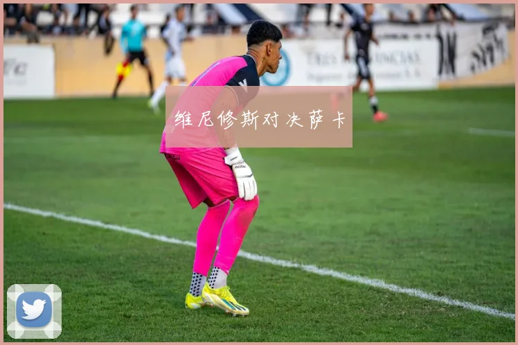 维尼修斯对决萨卡