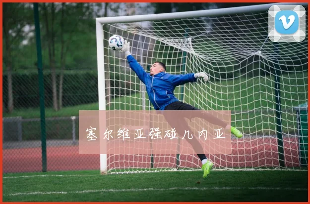 塞尔维亚强碰几内亚