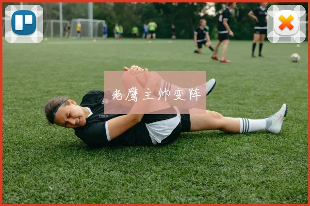 老鹰主帅变阵