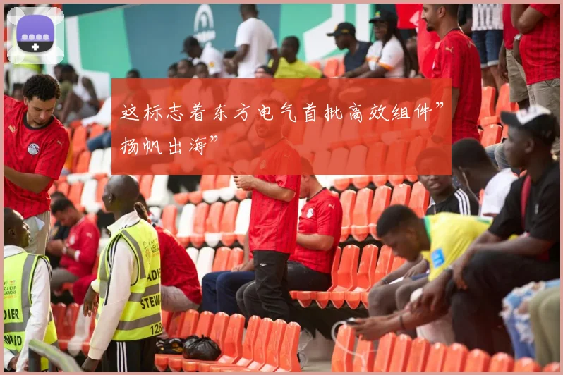 这标志着东方电气首批高效组件”扬帆出海”