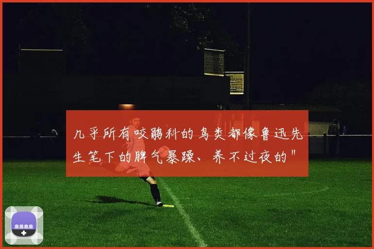几乎所有咬鹃科的鸟类都像鲁迅先生笔下的脾气暴躁、养不过夜的＂