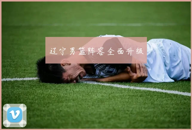 辽宁男篮阵容全面升级
