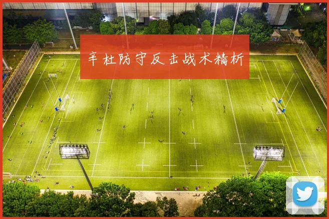 辛杜防守反击战术精析