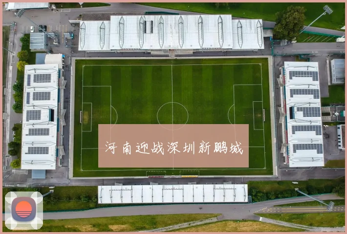 河南迎战深圳新鹏城