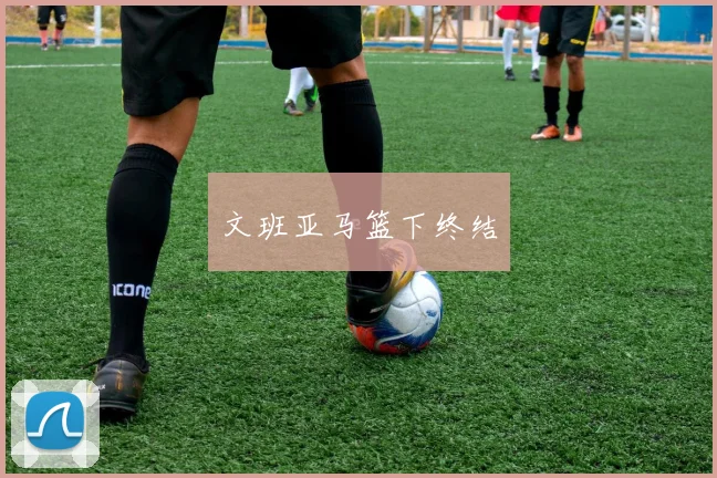 文班亚马篮下终结