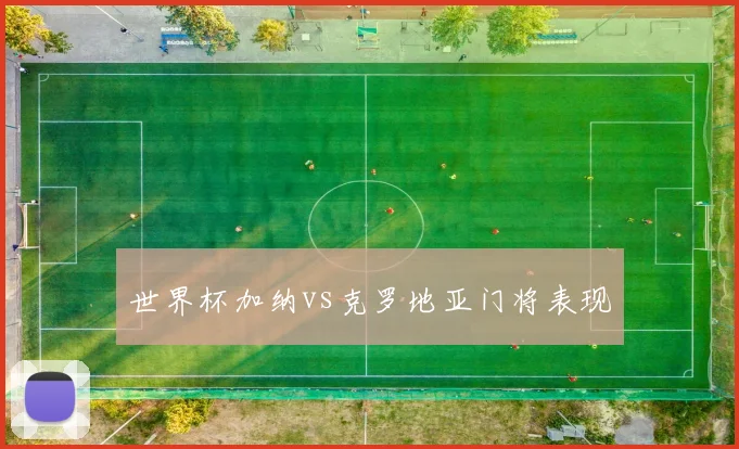 世界杯加纳vs克罗地亚门将表现