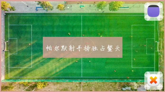 帕尔默射手榜独占鳌头