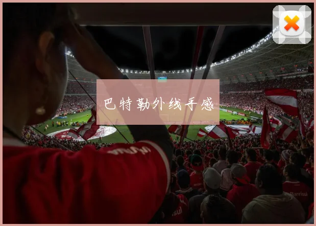 巴特勒外线手感