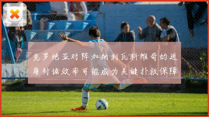 克罗地亚对阵加纳利瓦科维奇的近角封堵效率可能成为关键扑救保障
