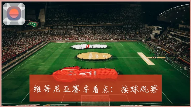 维蒂尼亚赛季看点:接球观察