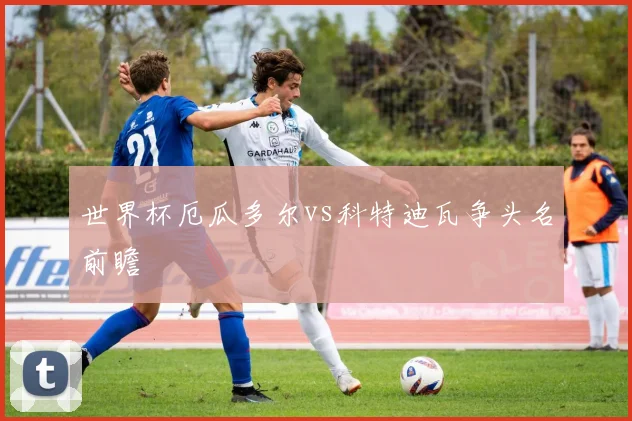 世界杯厄瓜多尔vs科特迪瓦争头名前瞻